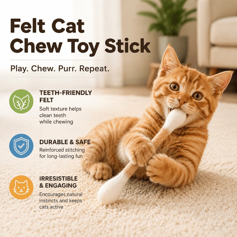 Interactive Swab Cat Toy