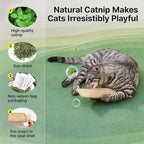 Catnip Sisal Pillow Toy
