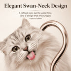 Ultra-Quiet Stainless Pet Fountain