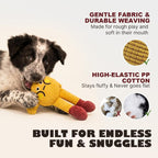 Textured Waffle Fetch Toy