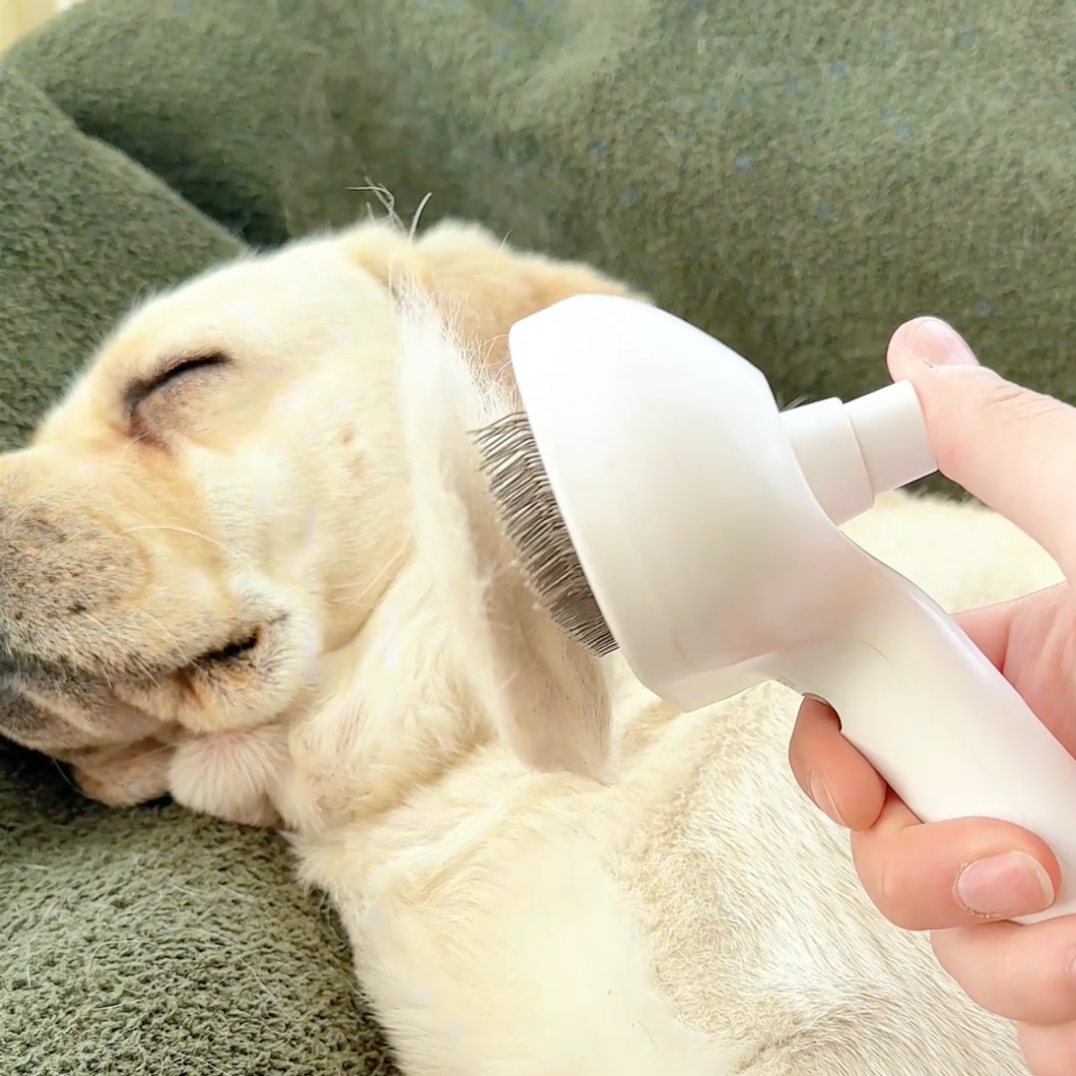 Chewie Viral Steam Brush