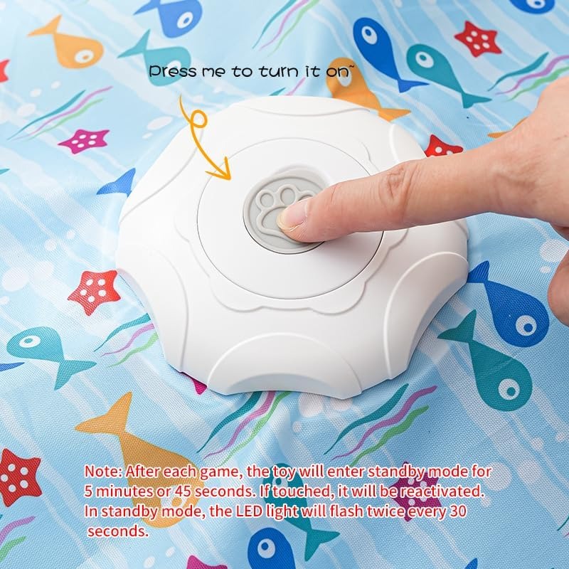 Interactive Hide and Seek Toy