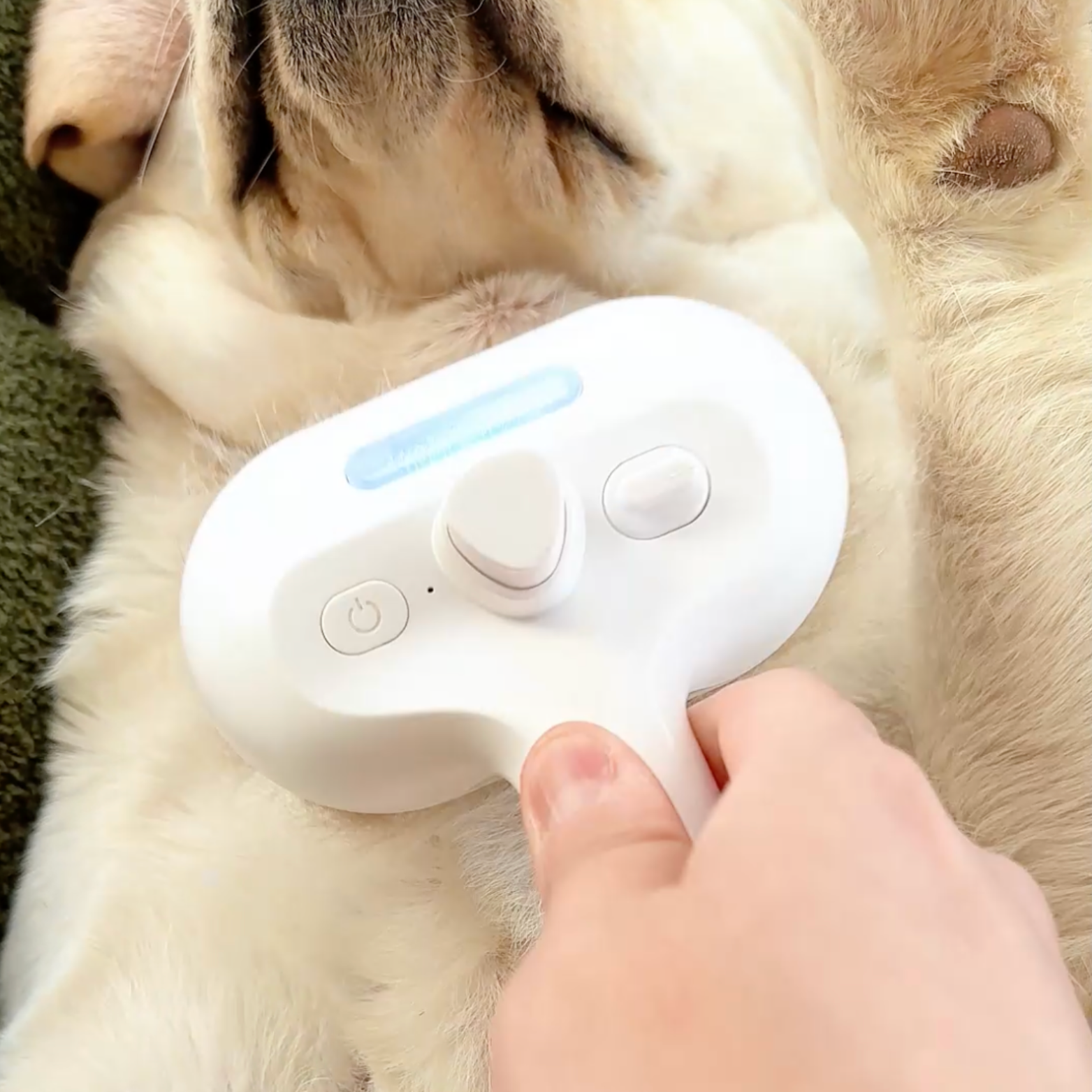 Chewie Viral Steam Brush