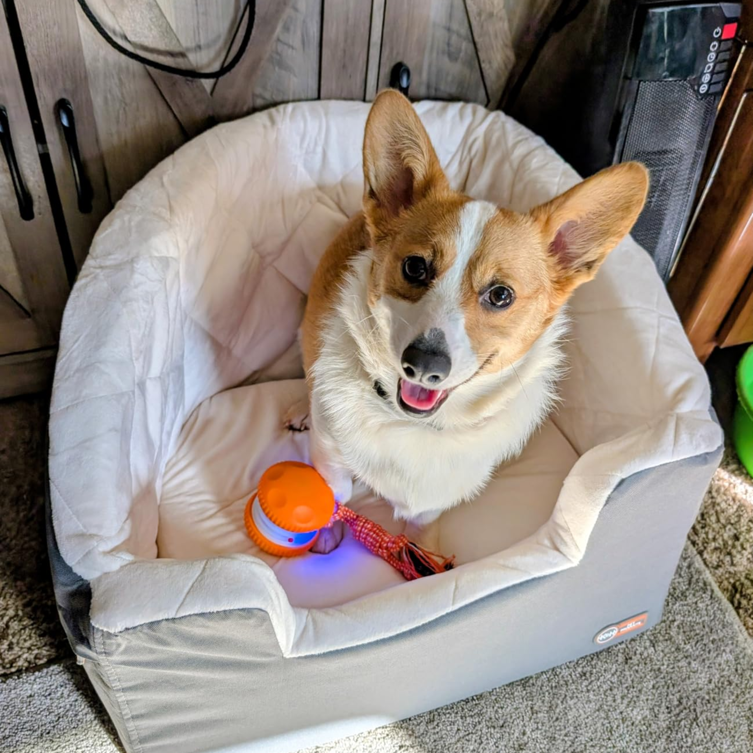 Chewie Viral Rope Roller