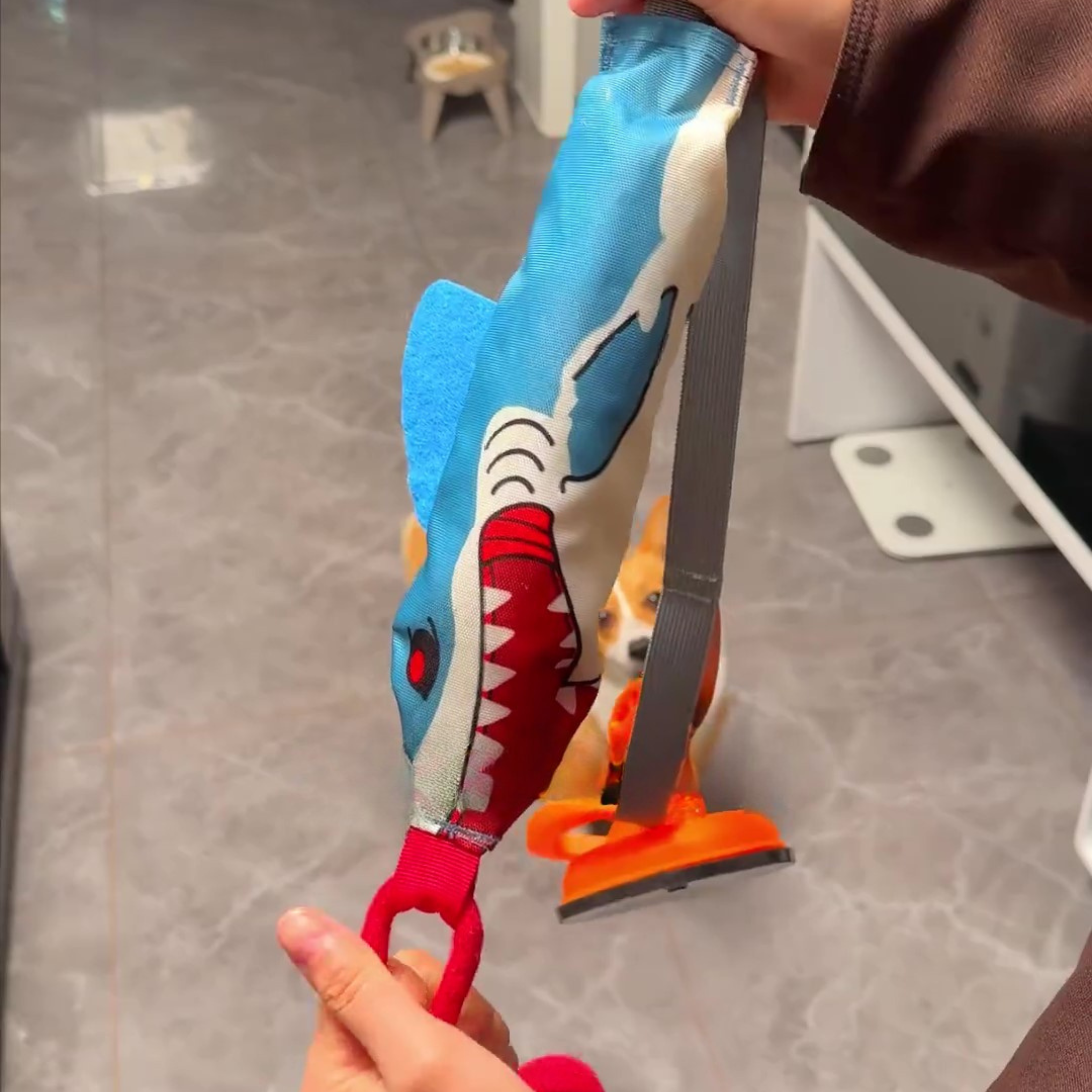 Chewie Viral Shark Tugger