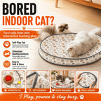 Automatic Cat Hunting Mat