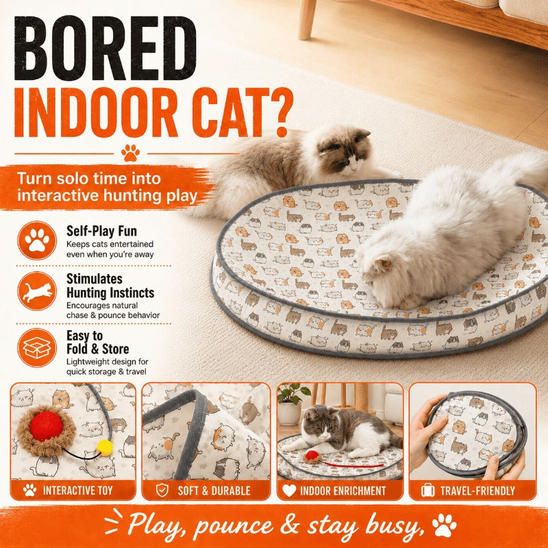 Automatic Cat Hunting Mat