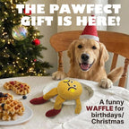 Textured Waffle Fetch Toy