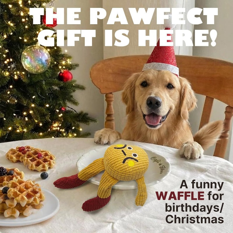 Textured Waffle Fetch Toy