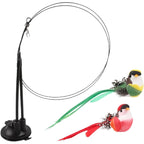 Double-Ended Suction Cup Cat Wand