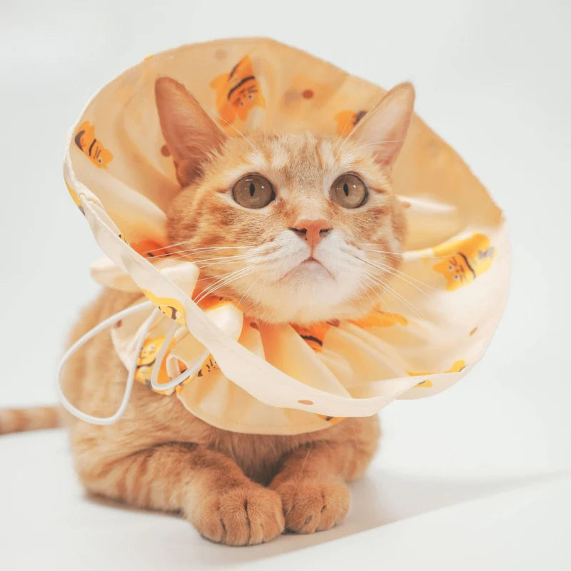 Safety Breakaway Cat Collar