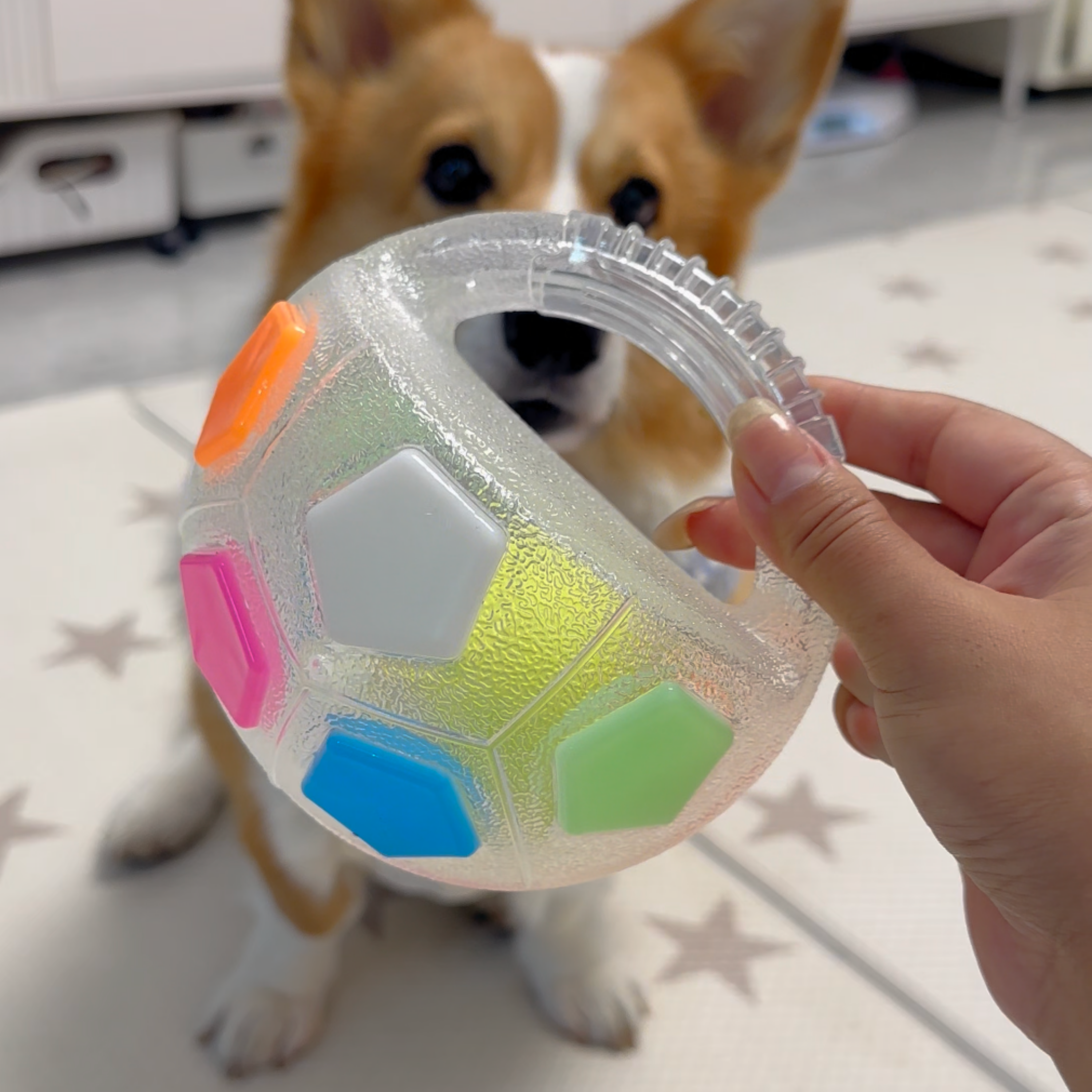 Chewie Viral Soccer Ball