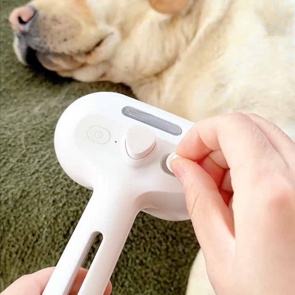 Chewie Viral Steam Brush
