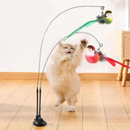 Double-Ended Suction Cup Cat Wand