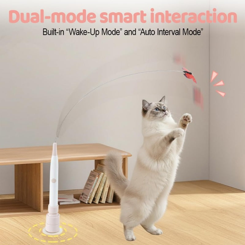 Smart Suction Cat Teaser
