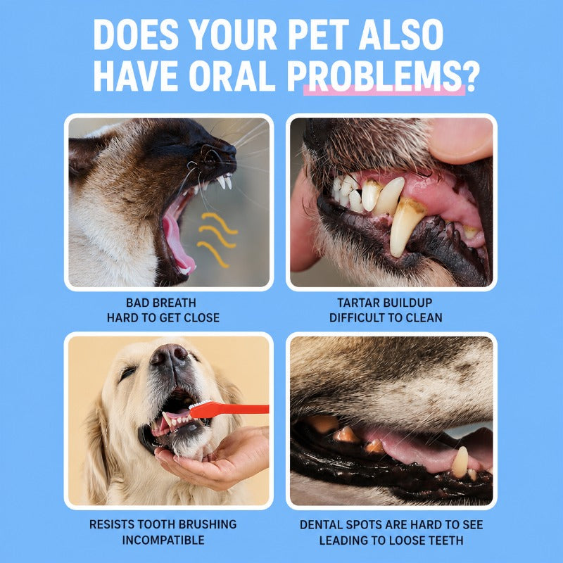 Dogs Cats Dental Finger Pads