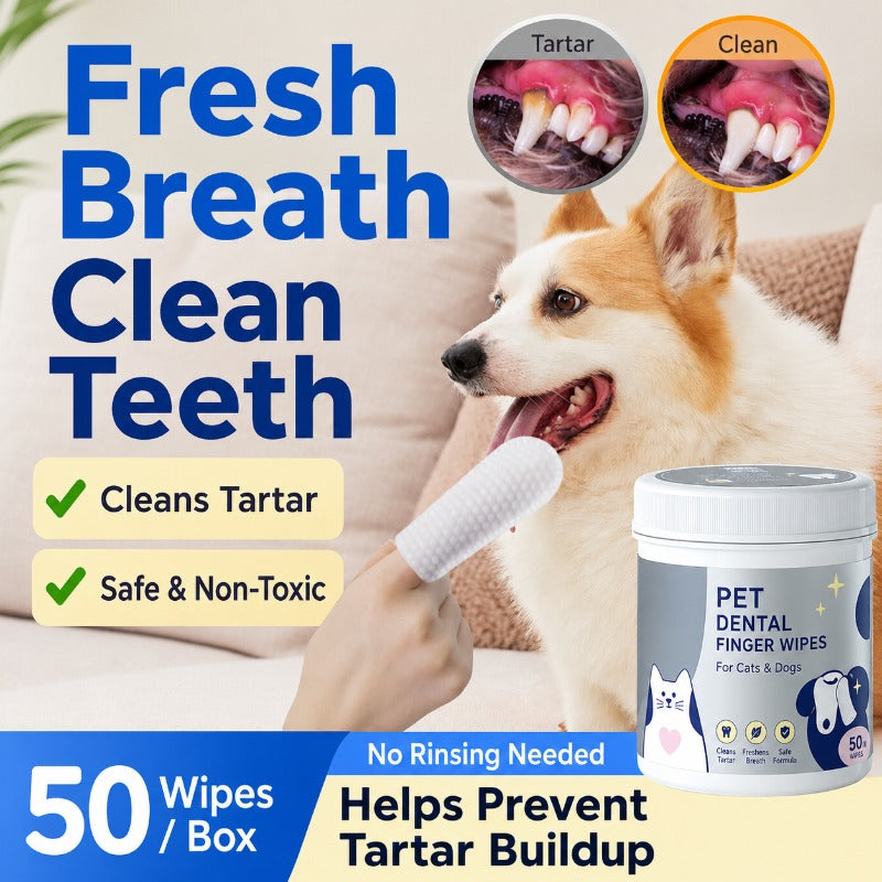Dogs Cats Dental Finger Pads