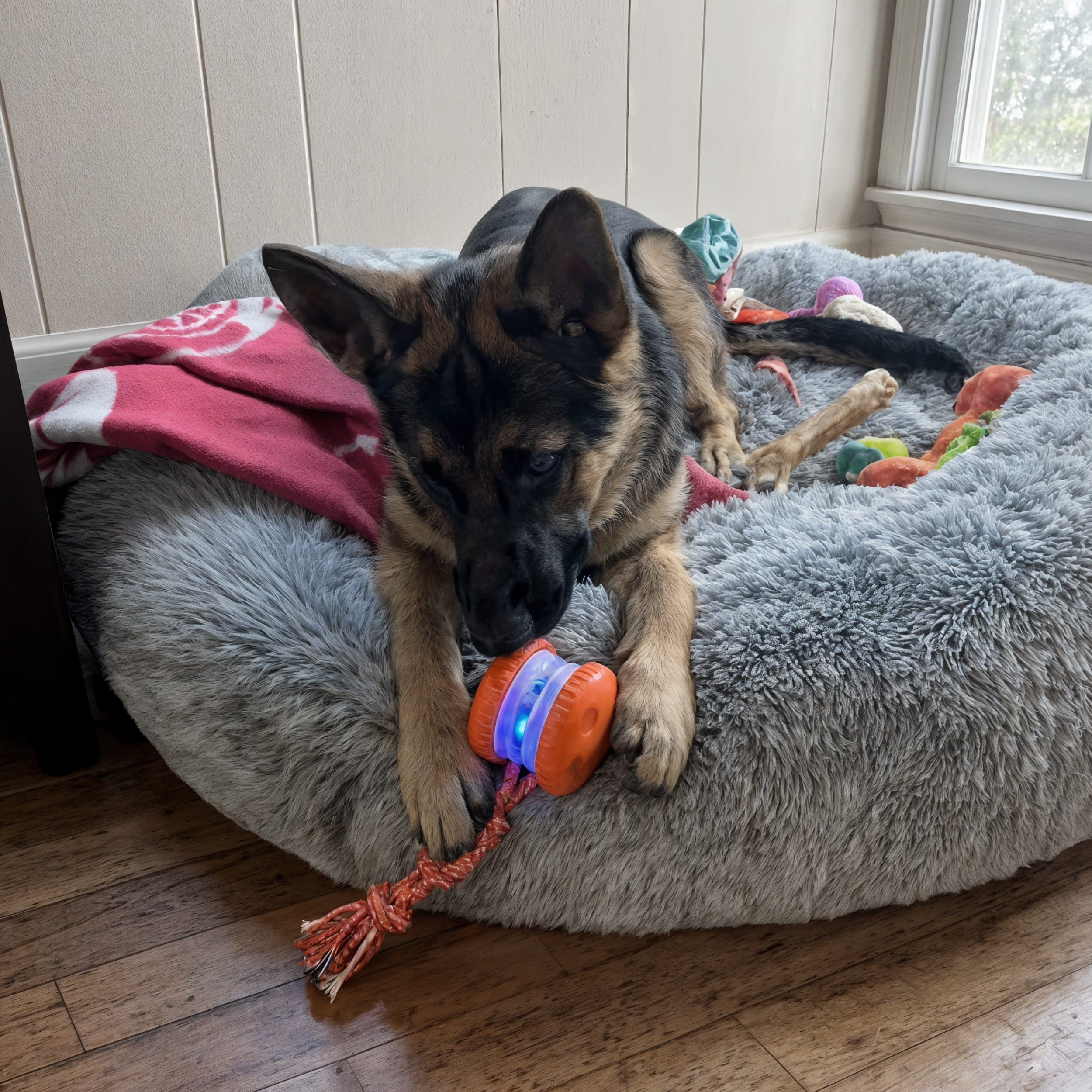 Chewie Viral Rope Roller