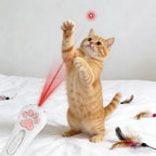 USB Rechargeable Cat Pointer