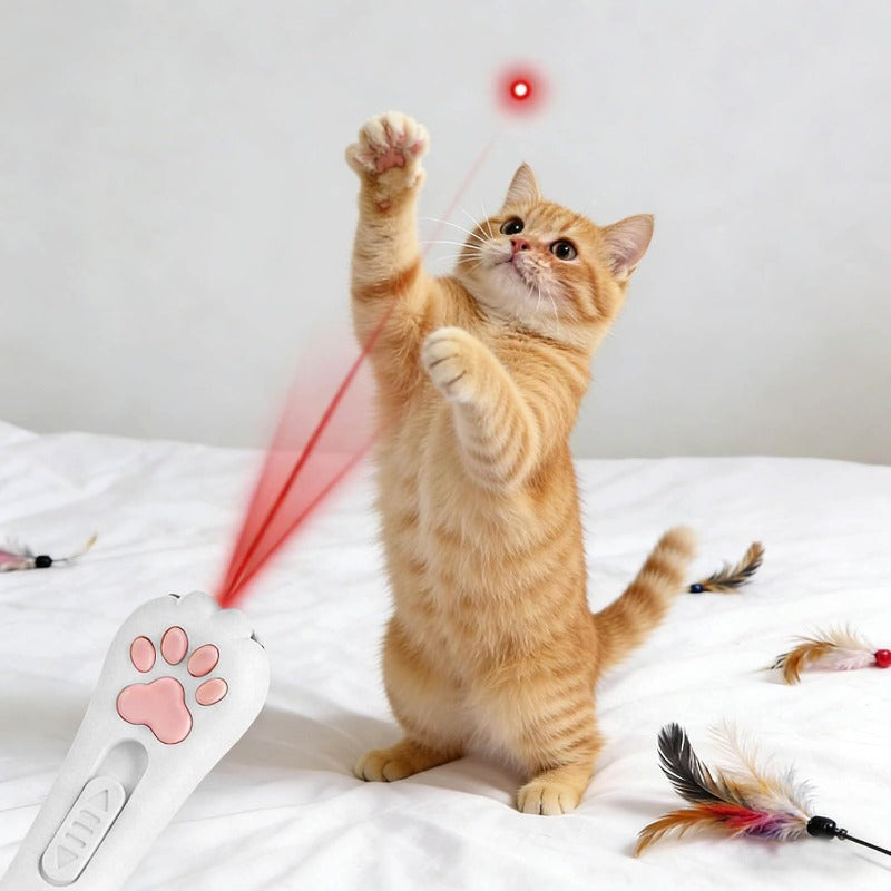 USB Rechargeable Cat Pointer