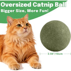 Oversized Durable Catnip Toy