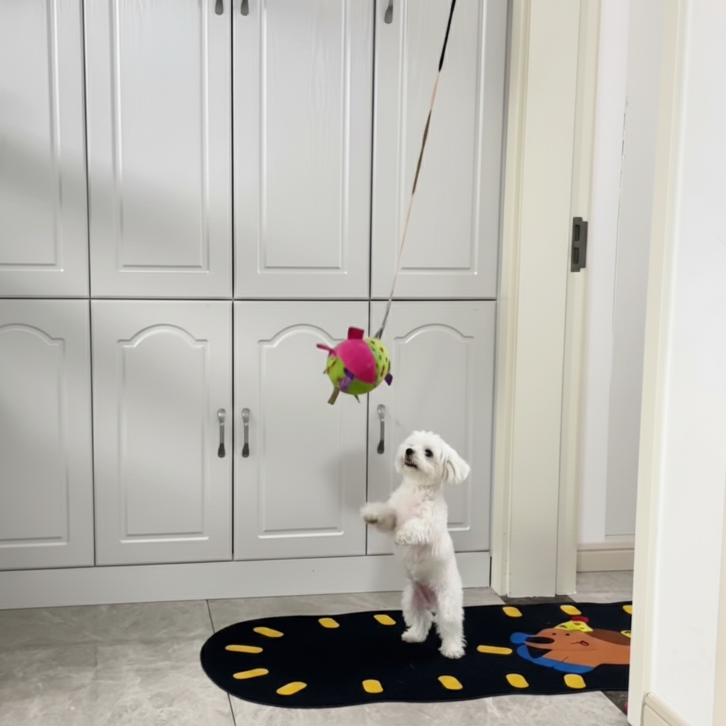 Chewie Viral Hanging Ball