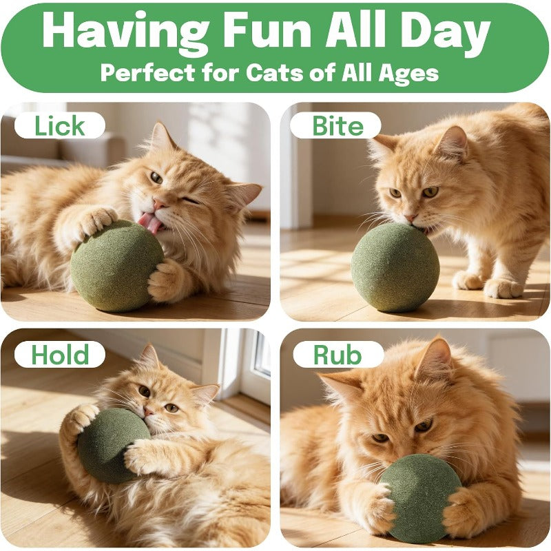 Oversized Durable Catnip Toy
