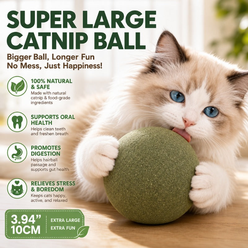 Oversized Durable Catnip Toy