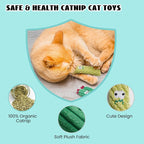 Organic Catnip Cactus Toys