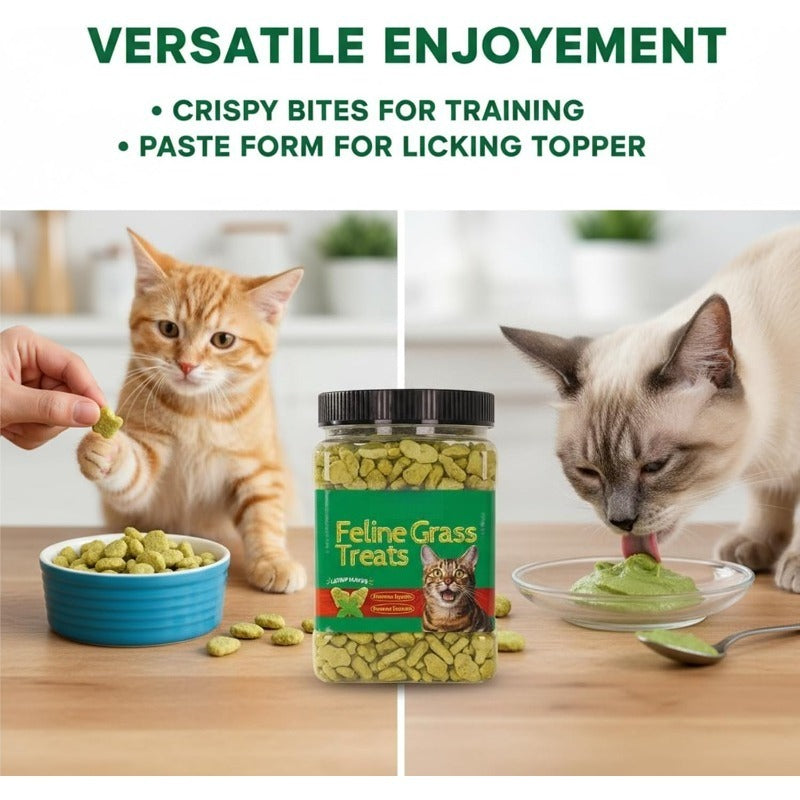 Hairball Control Cat Grass Treats