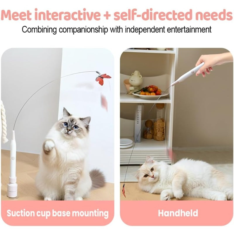 Smart Suction Cat Teaser