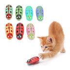 🐱Pet Electric Bug Toy🐞