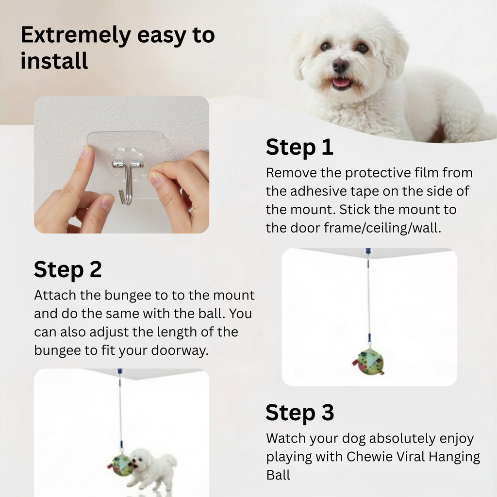 Chewie Viral Hanging Ball