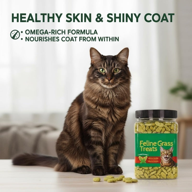 Hairball Control Cat Grass Treats