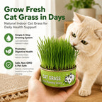 Effortless Indoor Cat Greens