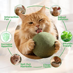 Oversized Durable Catnip Toy