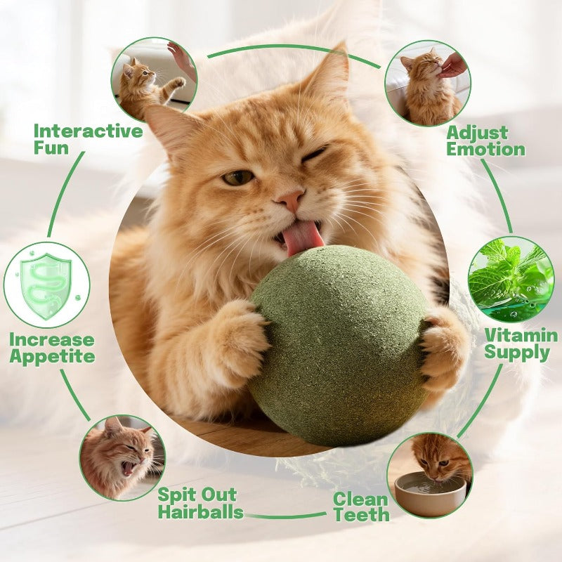 Oversized Durable Catnip Toy