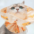 Safety Breakaway Cat Collar