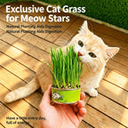 Effortless Indoor Cat Greens