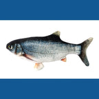 Realistic Fish Plush Toys for Cats