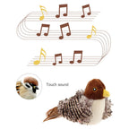 YoPoll Interactive Chirping Bird Cat Toy