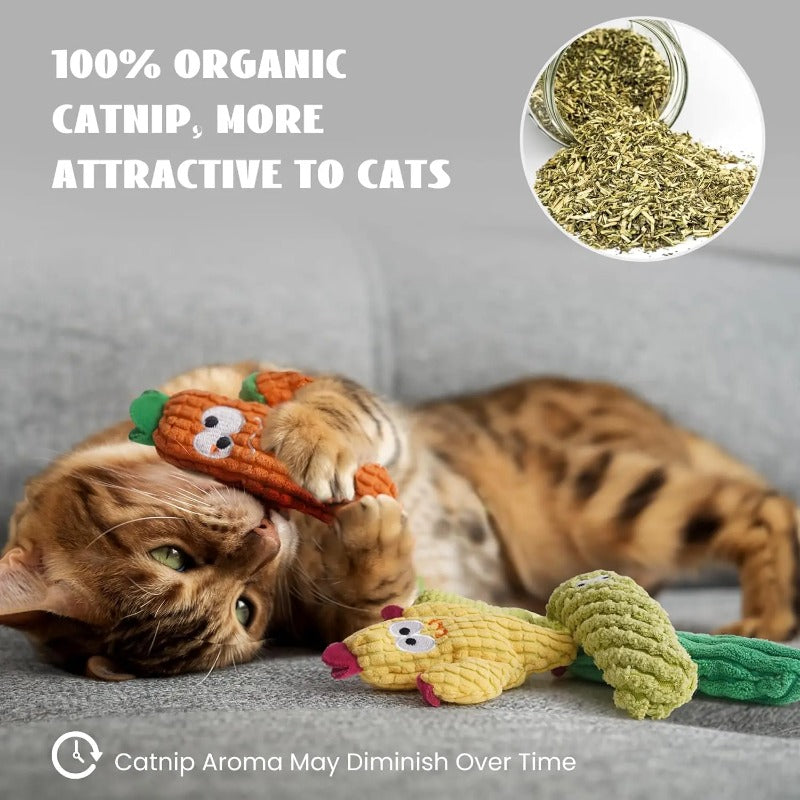 Organic Catnip Cactus Toys