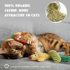 Organic Catnip Cactus Toys
