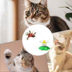 Automatic Fluttering Feline Teaser