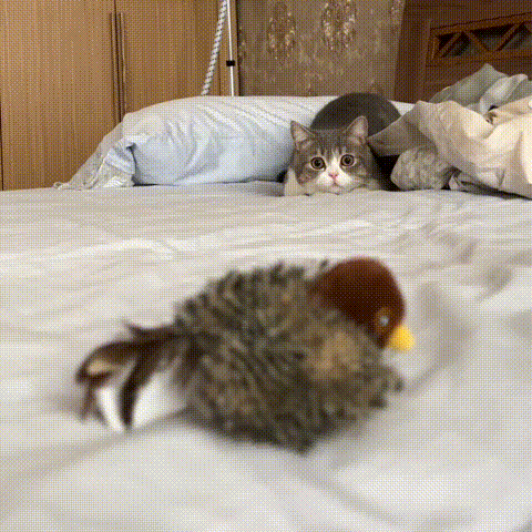 YoPoll Interactive Chirping Bird Cat Toy