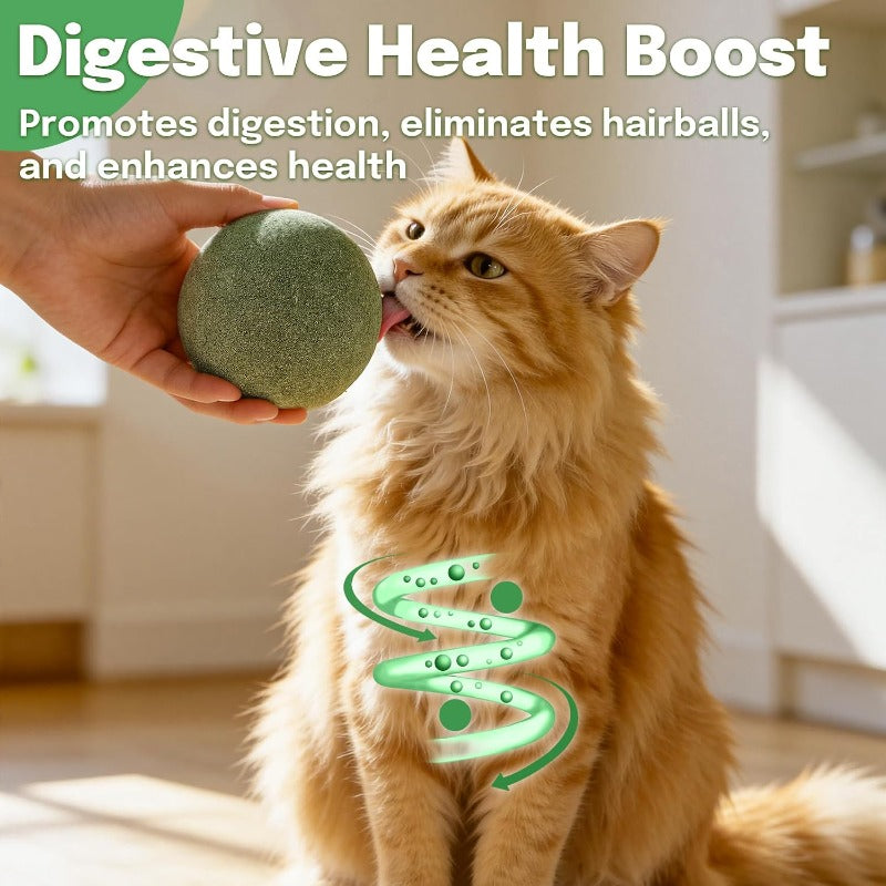 Oversized Durable Catnip Toy