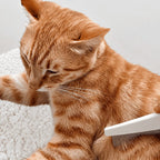 Effective Flea Removal Comb
