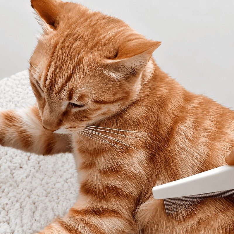 Effective Flea Removal Comb