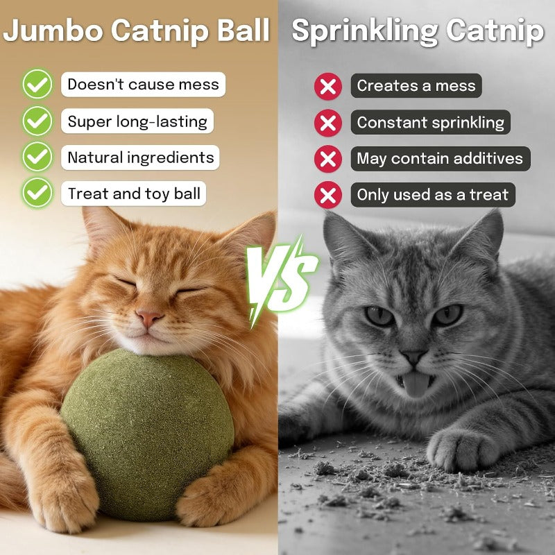 Oversized Durable Catnip Toy