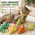 Organic Catnip Cactus Toys
